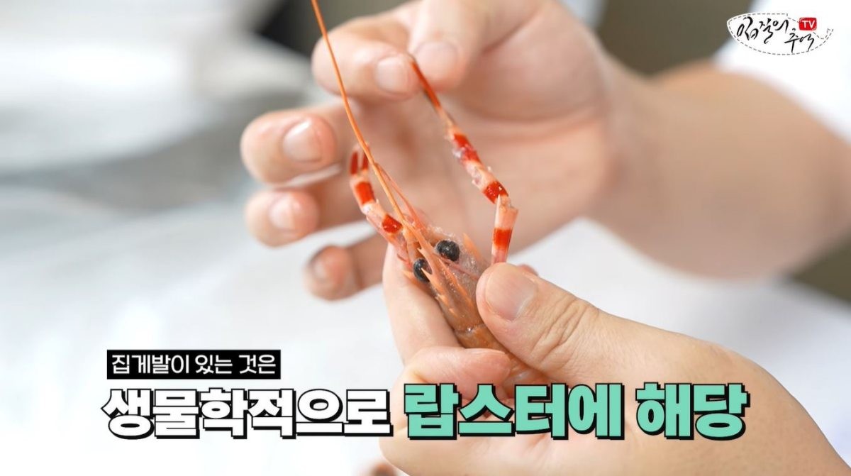 딱새우를 들고 있는 모습. / 유튜브 '입질의추억TV jiminTV'
