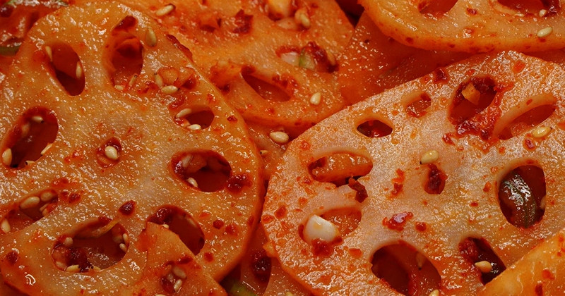 유튜브 '팔숙이 palsook'