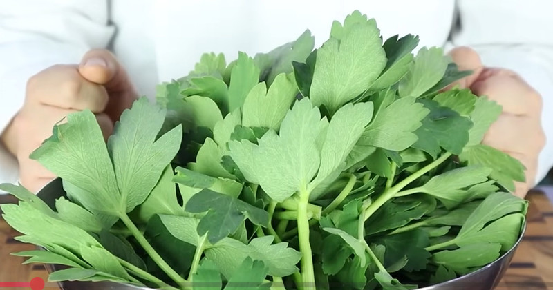 유튜브 '요리왕비룡 Korean Food Cooking'