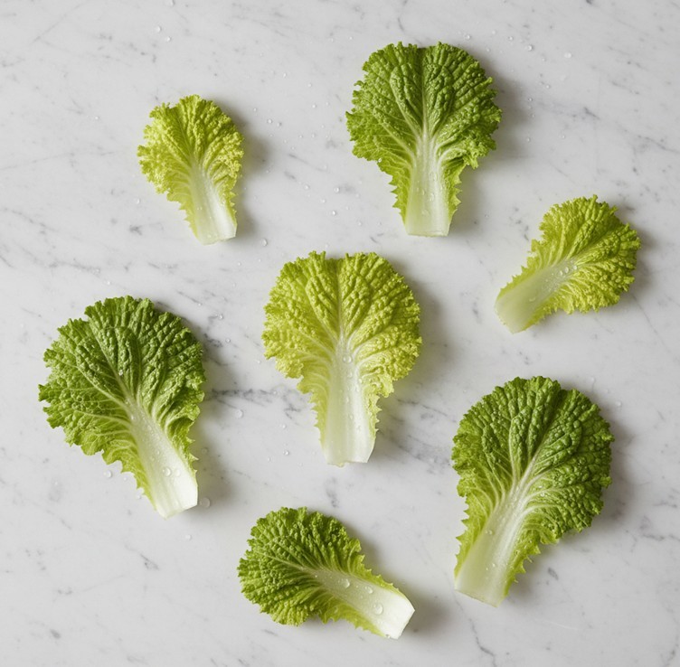 기사의 이해를 돕기 위한 AI 생성 이미지