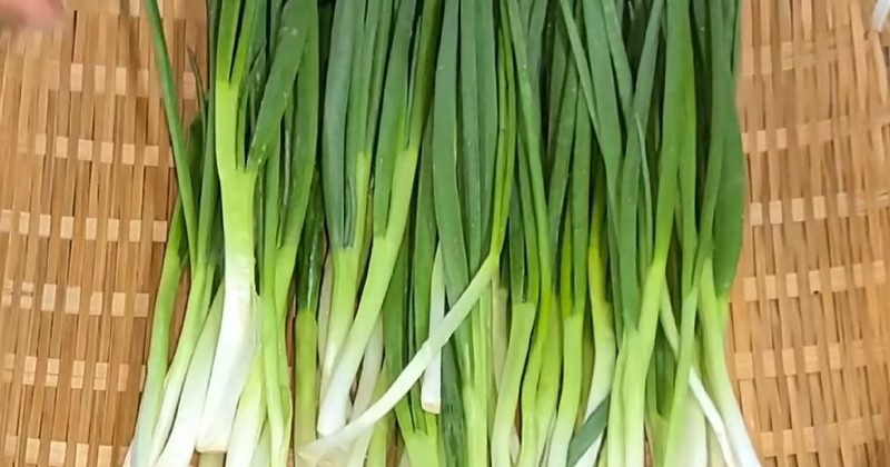 유튜브 '곰배밥상'