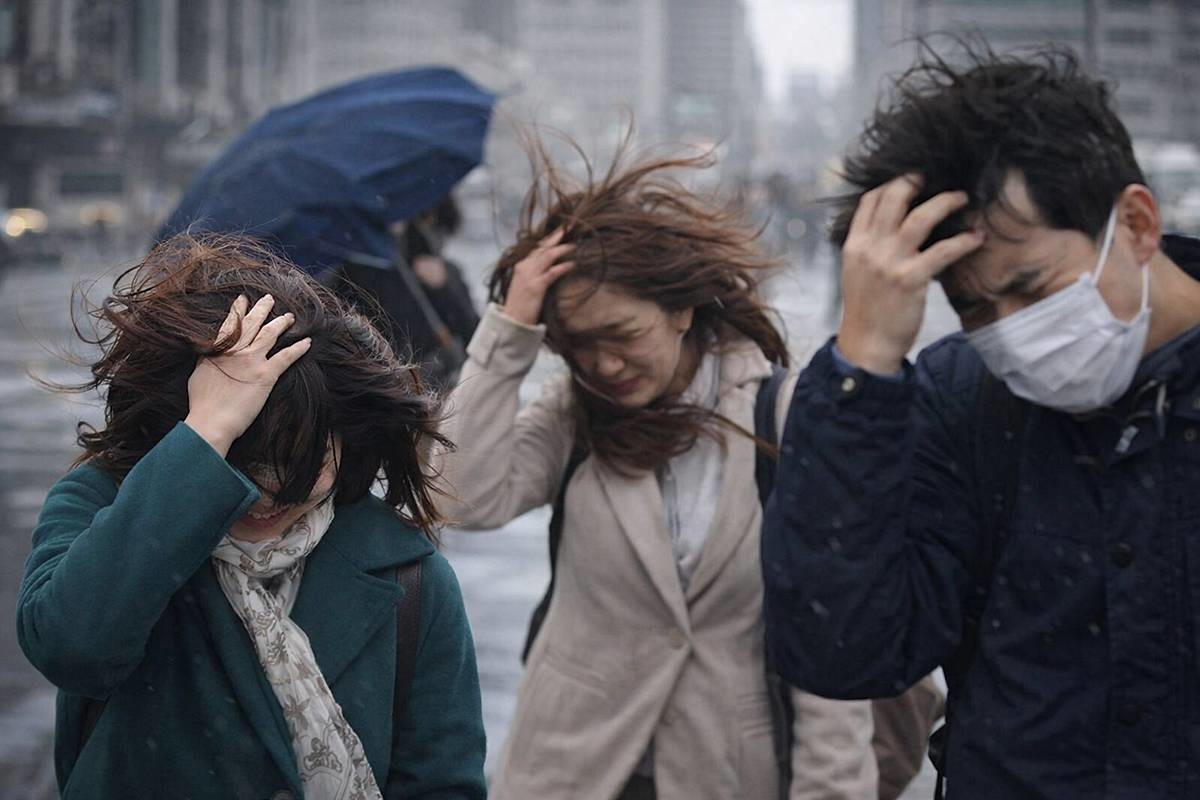 기사에 대한 이해를 돕기 위해 AI 툴로 제작한 자료 사진