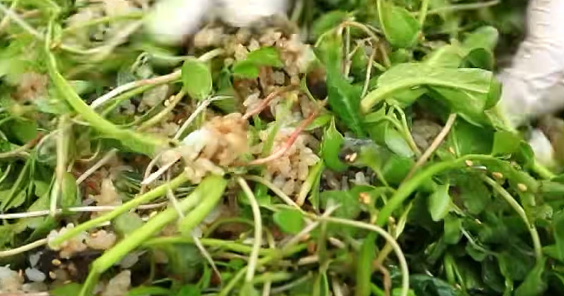 유튜브 'EBSDocumentary (EBS 다큐)'