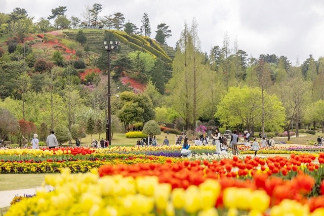 스페이스허브에서 봄을 만끽하는 사람들