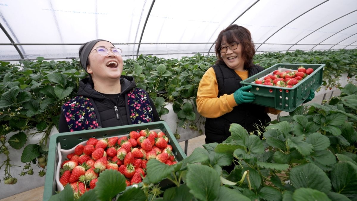 EBS1 '한국기행' 미리보기 페이지에서 제공하는 '상큼달달~ 숙 자매의 봄맛' 편 자료 사진. / EBS1 제공