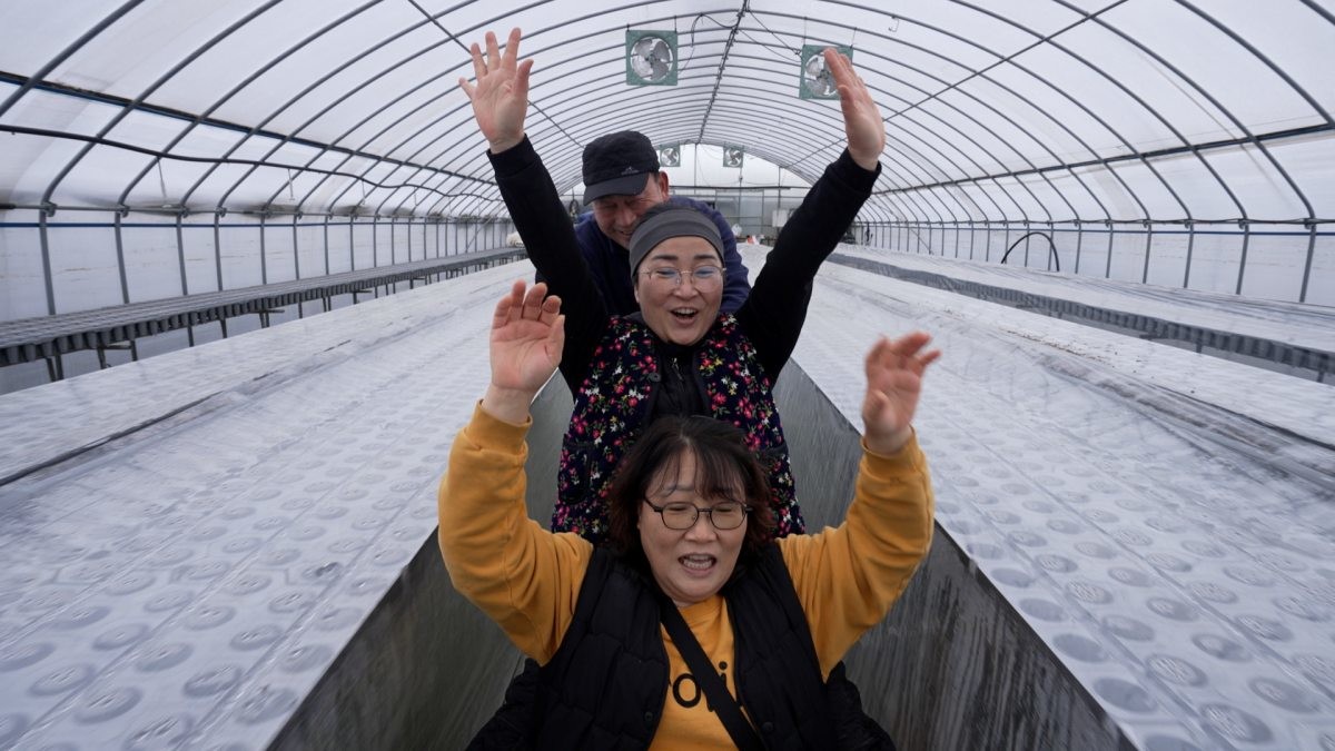 EBS1 '한국기행' 미리보기 페이지에서 제공하는 '상큼달달~ 숙 자매의 봄맛' 편 자료 사진. / EBS1 제공