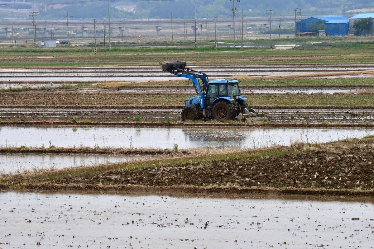 농민들이 모내기 준비에 한창인 모습. 기사의 이해를 돕기 위한 사진 / 뉴스1