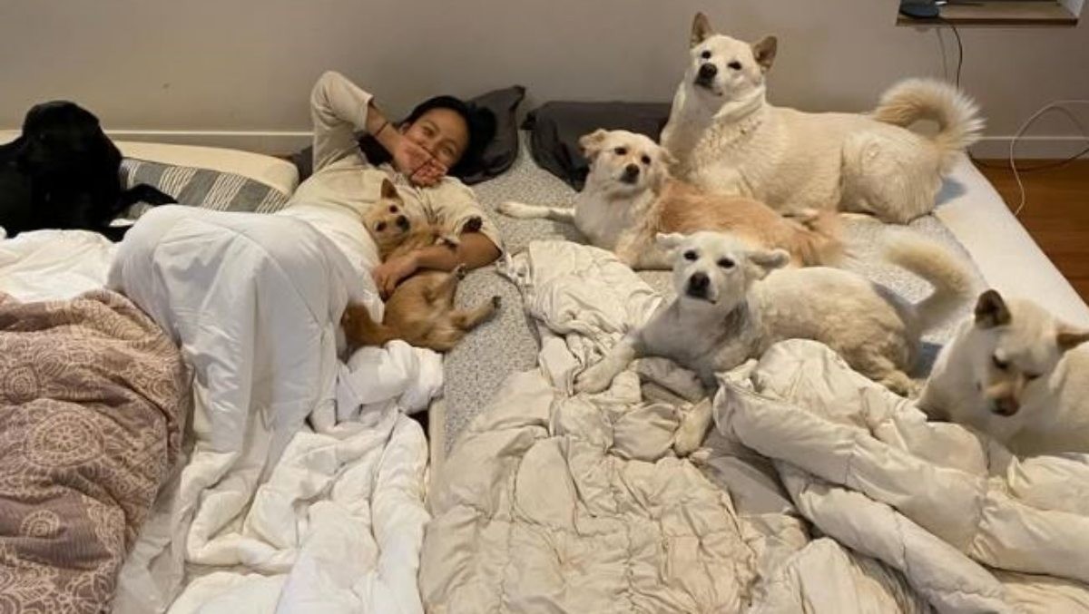 이효리가 올린 일상 사진 1. / 이효리 인스타그램