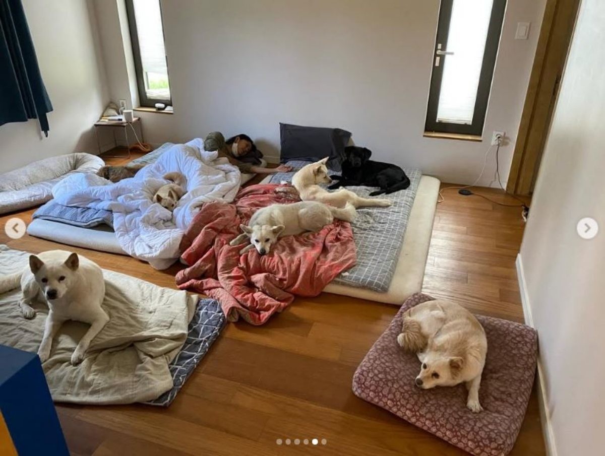 이효리가 올린 일상 사진 1. / 이효리 인스타그램