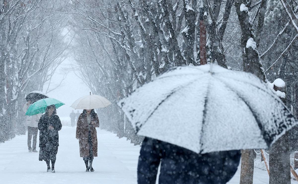 기사에 대한 이해를 돕기 위해 AI 툴로 제작한 자료 사진