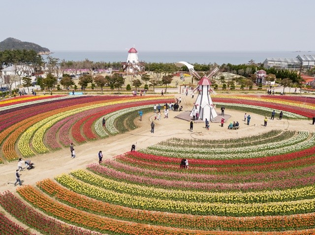 남도한바퀴－신안 임자도 튤립정원