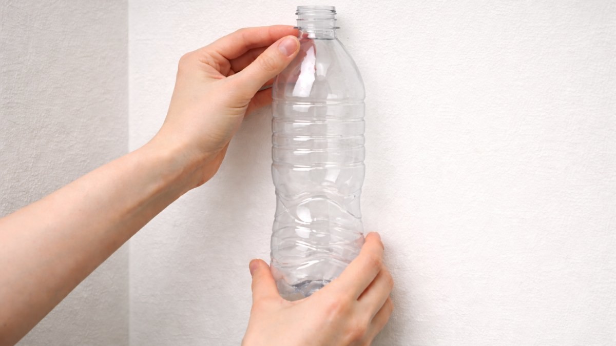 페트병을 벽에 붙이는 모습 / 기사 내용을 바탕으로 제작한 AI 이미지