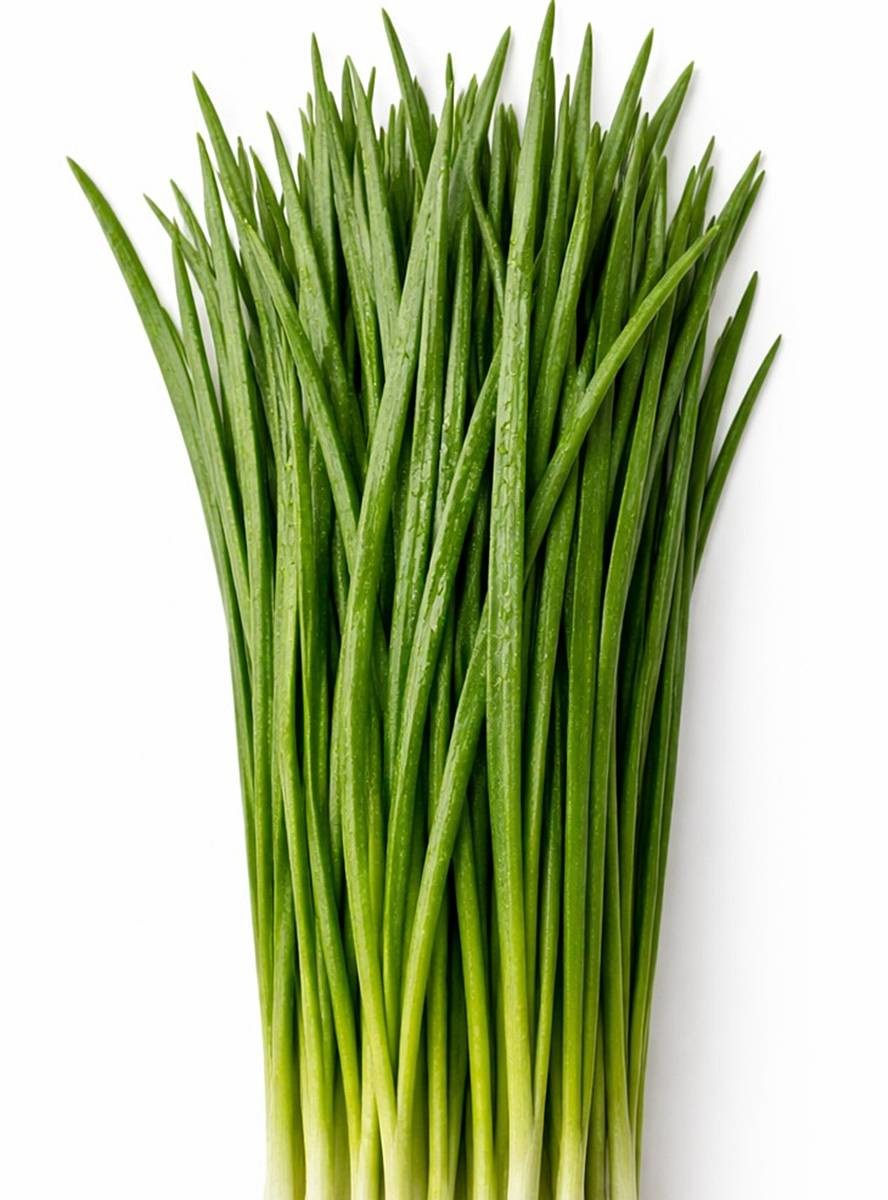 기사에 대한 이해를 돕기 위해 AI 툴로 제작한 자료 사진