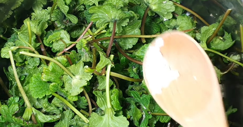 유튜브 '현주는 뭐하지?'