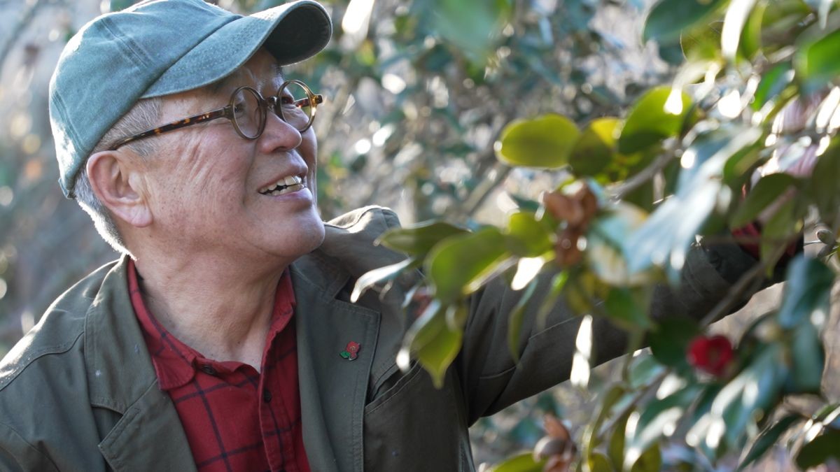 EBS1 '한국기행' 미리보기 페이지에서 제공하는 '동백꽃을 기다리며' 편 자료 사진. / EBS1 제공