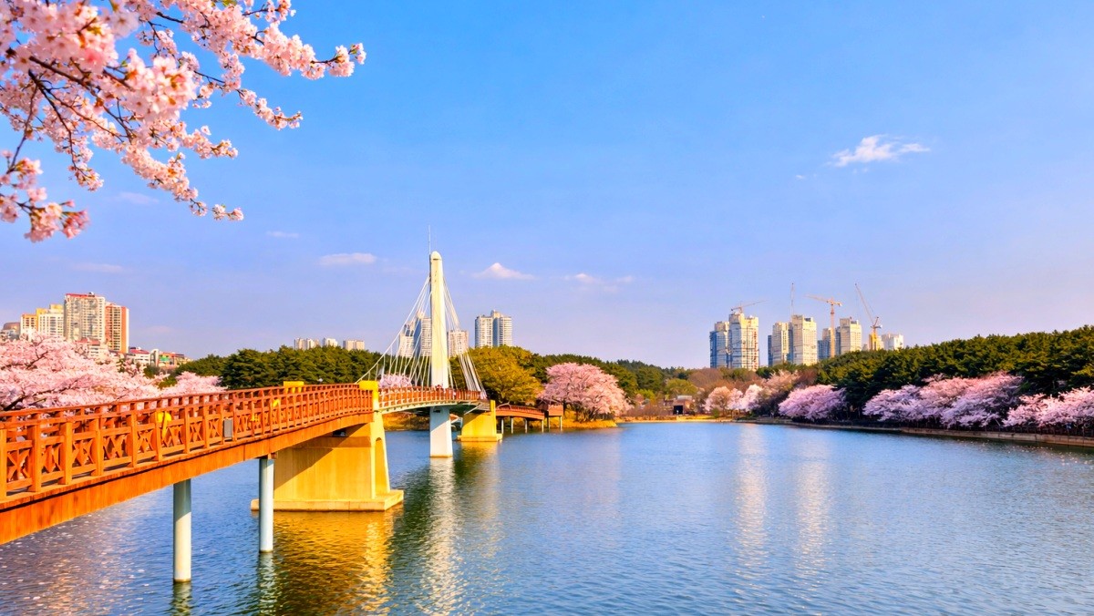 은파호수공원. 기사 내용 토대로 AI툴 활용해 제작한 자료사진.
