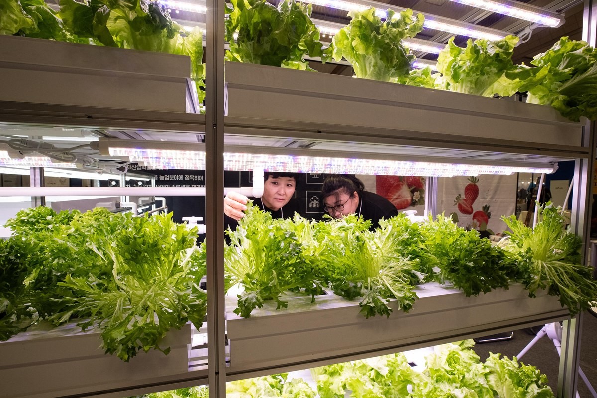 서울 강남구 코엑스에서 열린 '2023 코엑스 푸드위크'에서 관계자들이 스마트팜을 살펴보고 있다. / 뉴스1