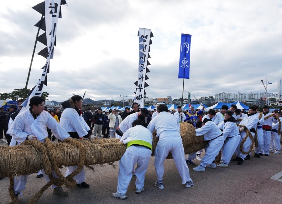 지난 3일 영천시 영동교 옆 강변공원에서 열린 2026년 정월대보름 시민한마당 행사에서 고유의 곳나무싸움을 재현하고 있다. / 영천시 제공