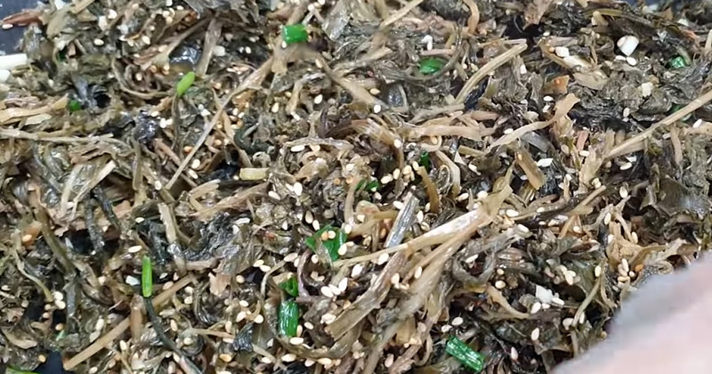 유튜브 '충청도외할머니밥상'