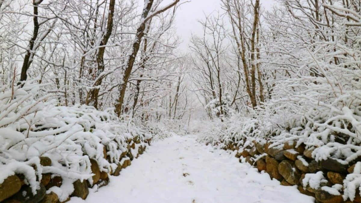 오대산국립공원. / 평창군 공식 블로그