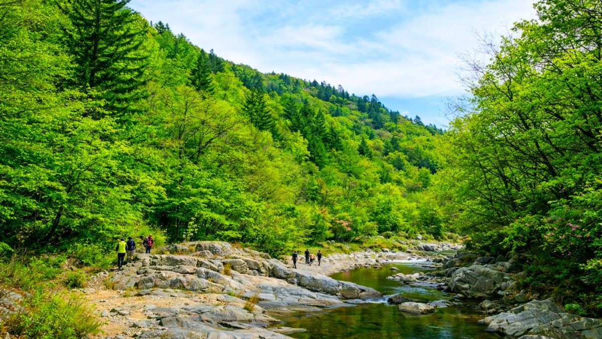 오대산국립공원. / 평창군 공식 블로그, AI