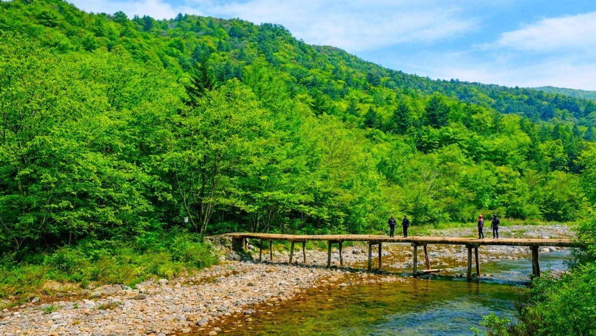 오대산국립공원./ 평창군 공식 블로그, AI