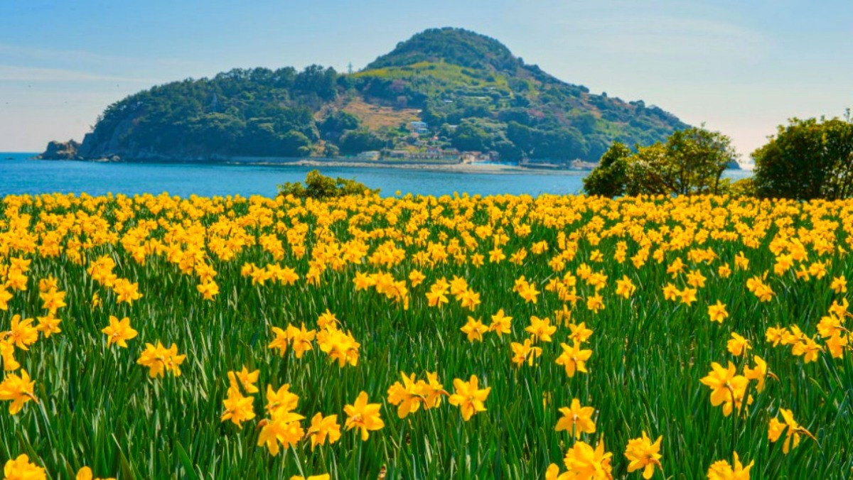 거제 공곶이. / 거제시 공식 블로그