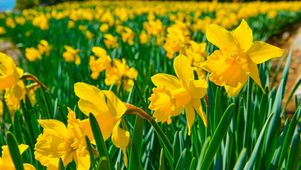 거제 공곶이. / 거제시 공식 블로그