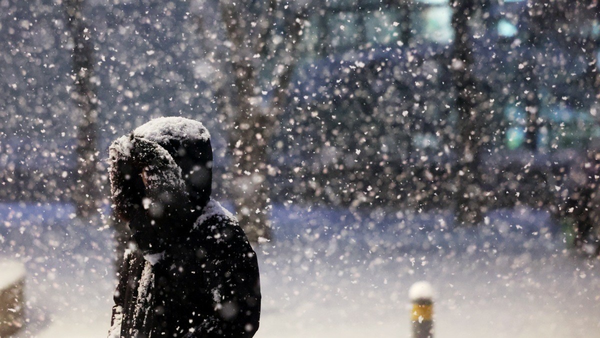 기사의 이해를 돕기 위한 사진 / 뉴스1