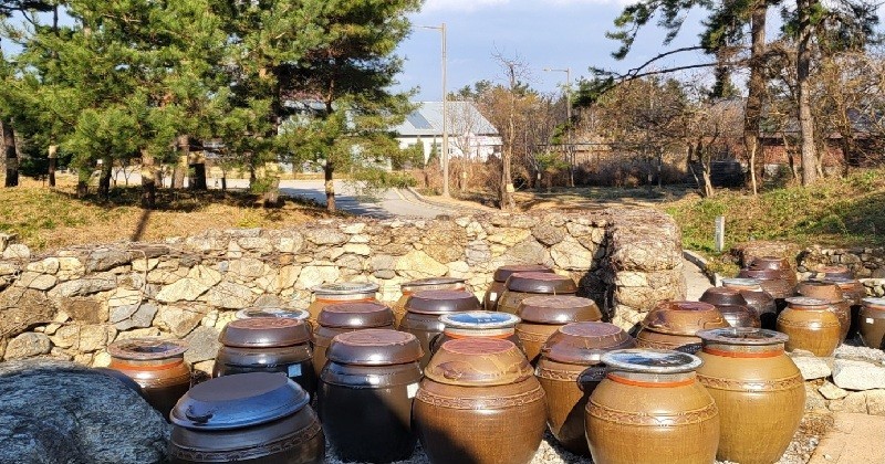 5일 대전·충남 지역은 대체로 맑다가 오후부터 흐려질 전망이다. /사진=김지연 기자