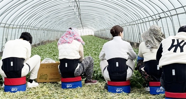 나주시가 올해 보급하고 있는 농작업 편의의자가 농업인들로부터 큰 호응을 얻고 있다.