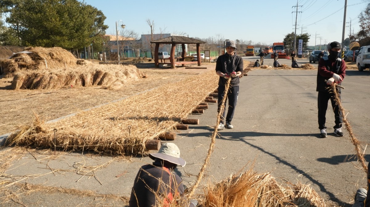 기지시줄다리기 줄 제작 모습 / 당진시