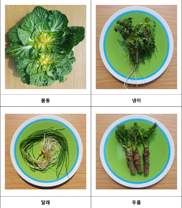 주요 점검대상 농산물 / 식품의약품안전처