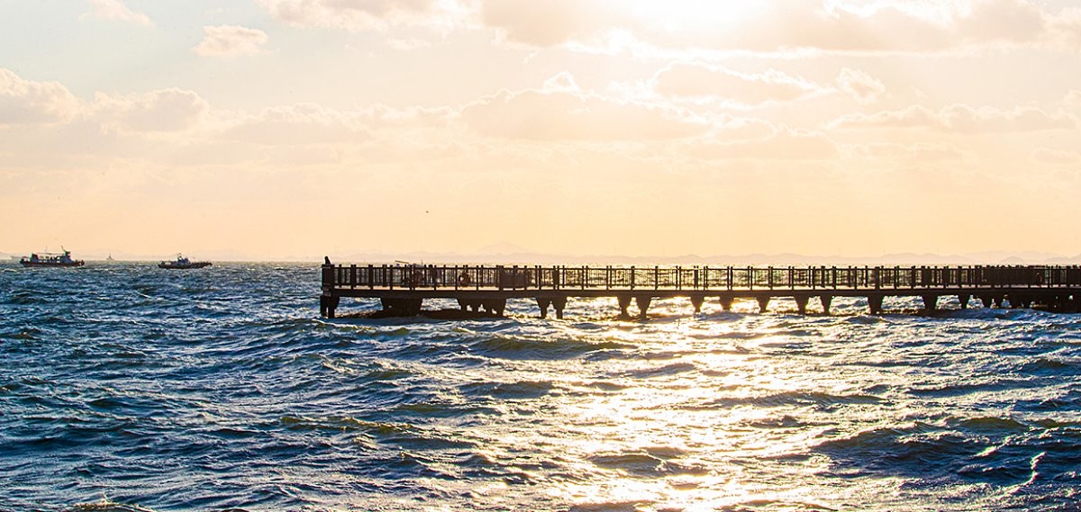 궁평항 / 화성시 문화관광 홈페이지