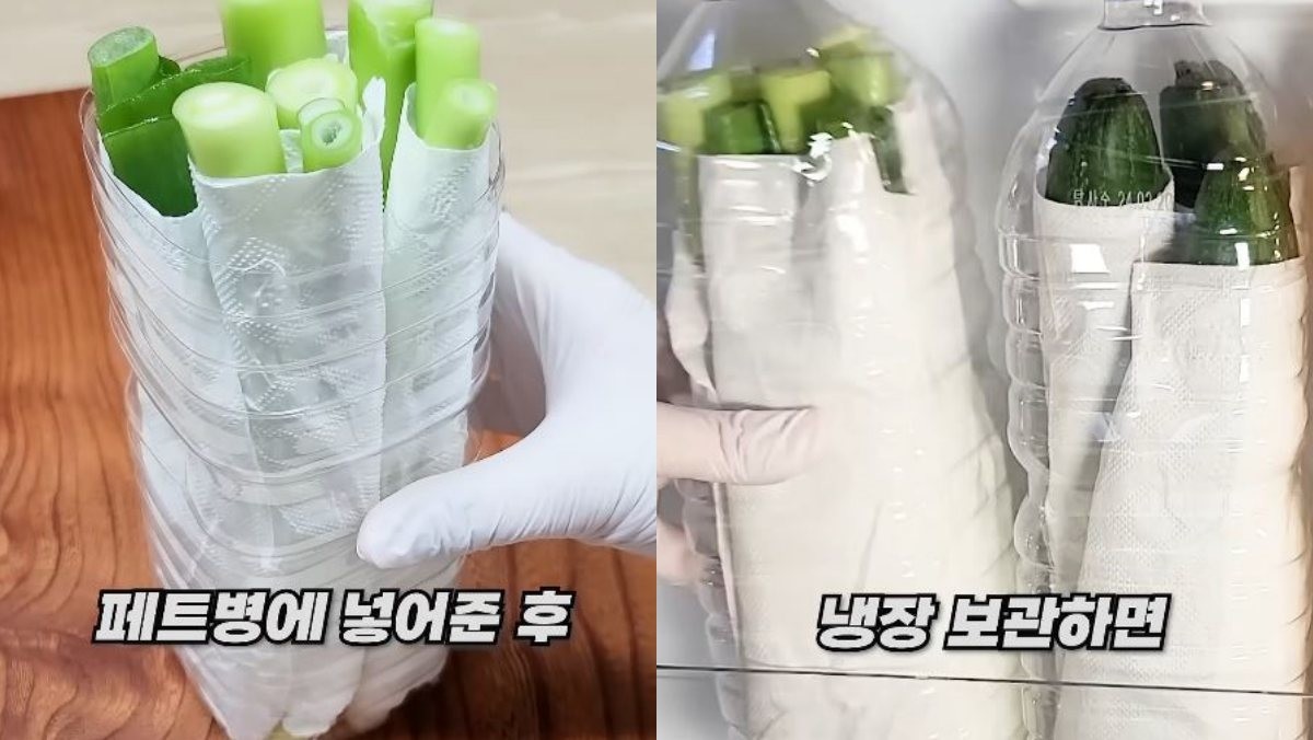 파를 적당하게 잘라 페트병에 넣어준 후 냉장보관하는 모습. / 유튜브 '진짜꿀팁 Realtips'