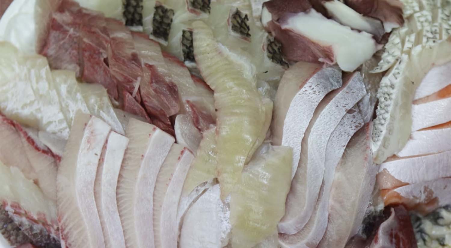 여러 생선회. / '입질의추억TV'