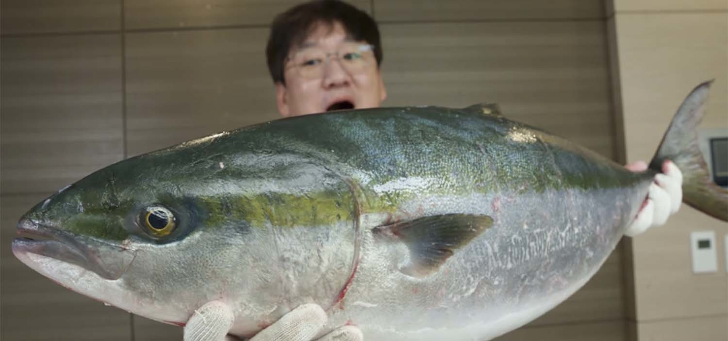 방어. / '입질의추억TV'