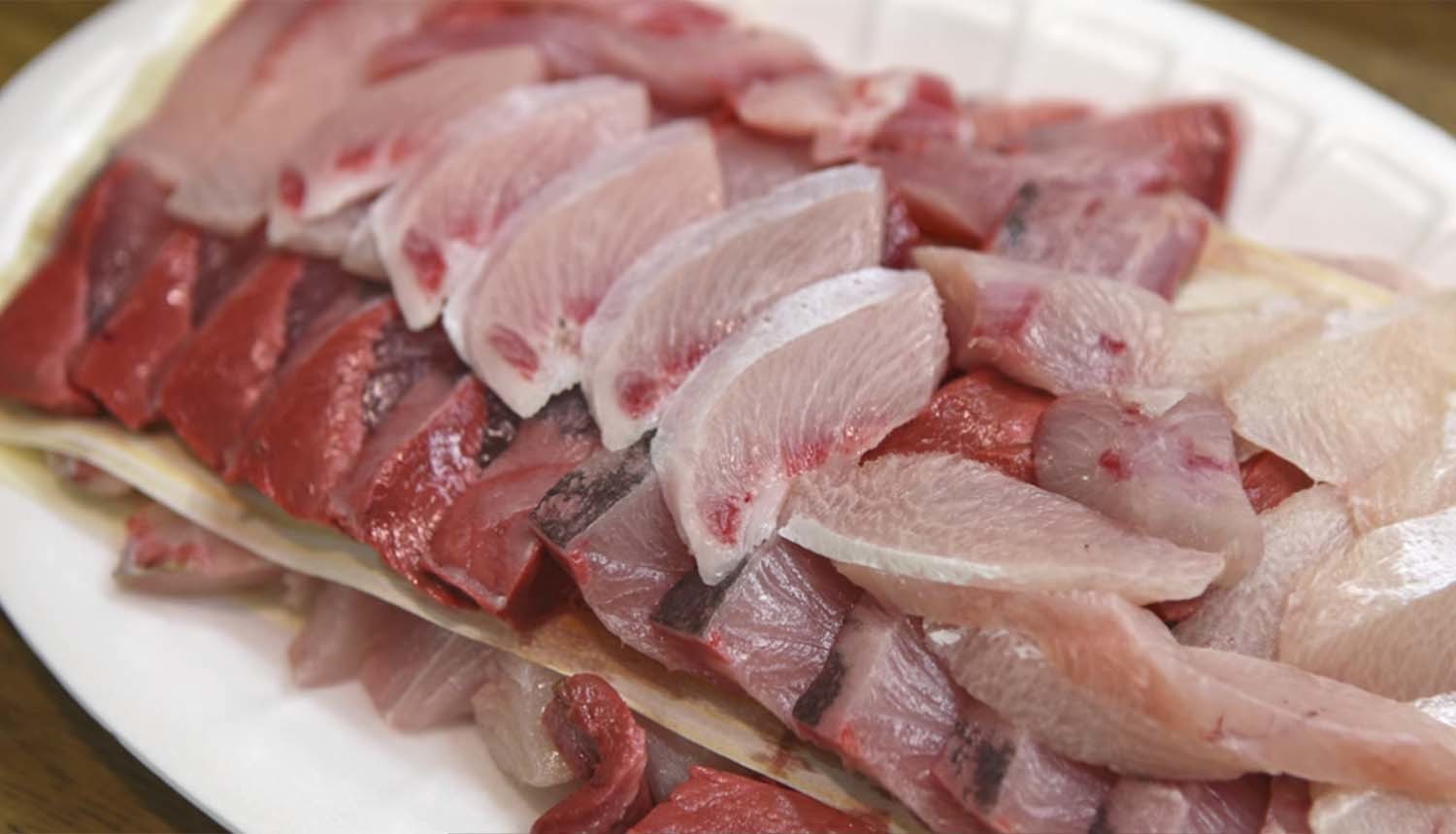 방어회. / '입질의추억TV'