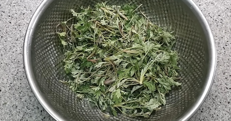 유튜브 '고향누나 자연식단'