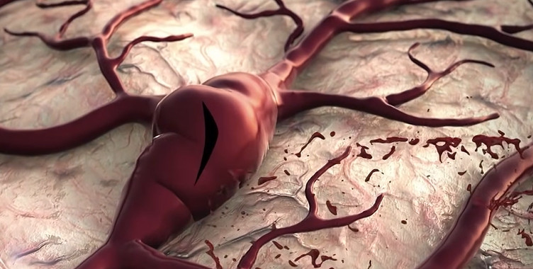 유튜브 'MBN Entertainment'