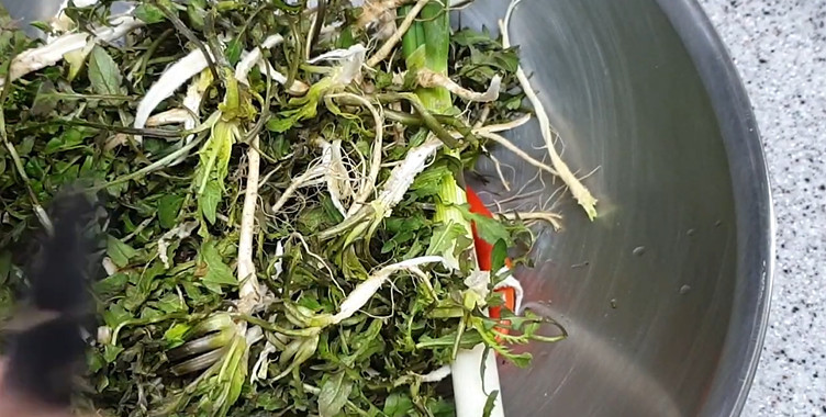 유튜브 '고향누나 자연식단'