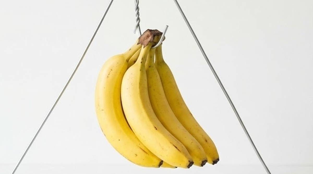 기사에 대한 이해를 돕기 위해 AI 툴로 제작한 자료 사진