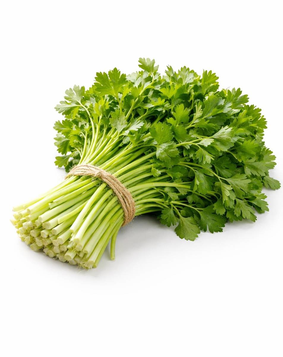 기사에 대한 이해를 돕기 위해 AI 툴로 제작한 자료 사진