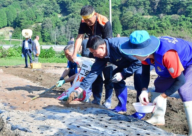 김한종 장성군수가 북하면 단전리 산나물 체험장에서 일손을 거들고 있다.