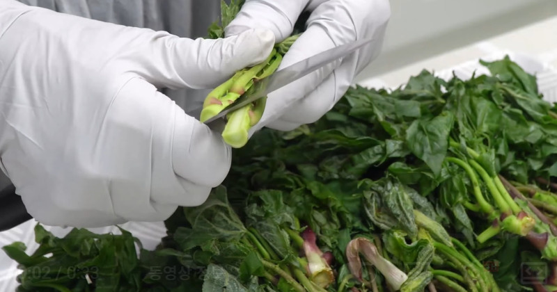 유튜브 '1분엄마 1 minute mom'