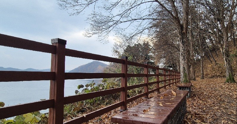 9일 대전충남 지역은 대체로 흐린 가운데 낮까지 일부 지역에 빗방울이 떨어질 전망이다./사진=김지연 기자