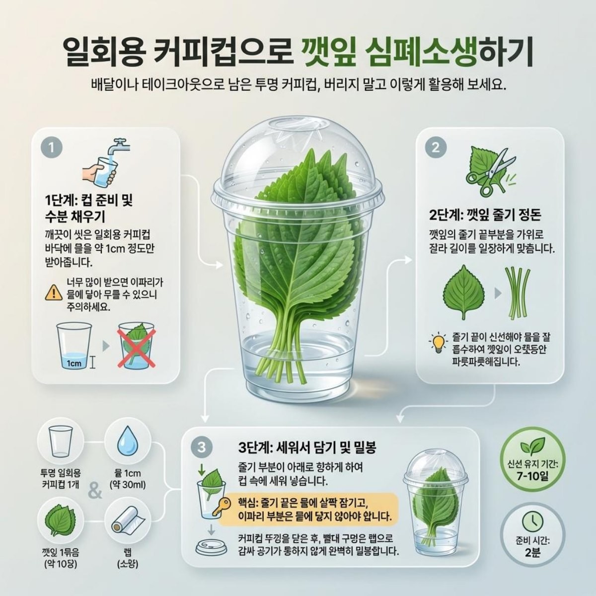 깻잎 보관 '꿀팁' 1장 요약. 기사 내용 토대로 AI툴 활용해 제작한 자료사진.