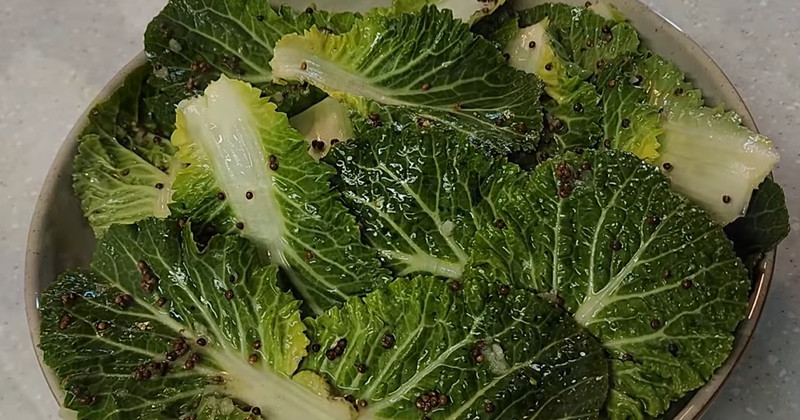 유튜브 '타조엄마'