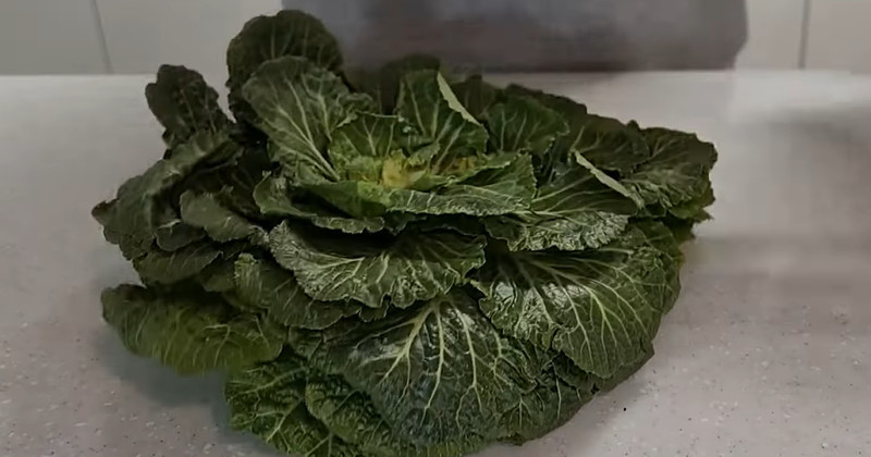 유튜브 '타조엄마'