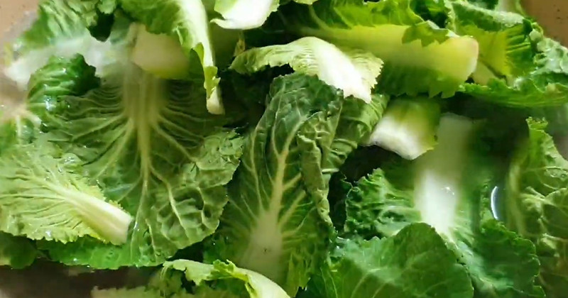 유튜브 '묘식당 Rabbit's'